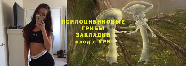 дживик Алексеевка