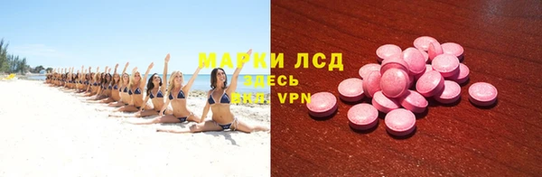 PSILOCYBIN Алзамай