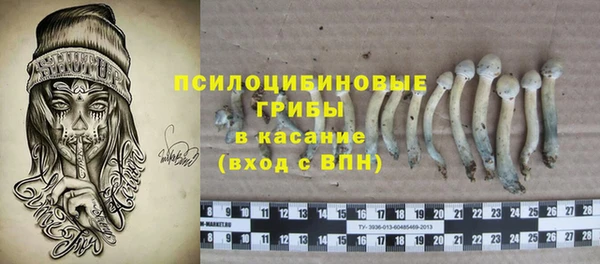 PSILOCYBIN Алзамай