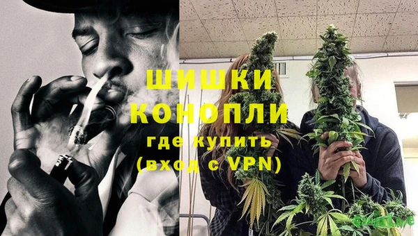PSILOCYBIN Алзамай