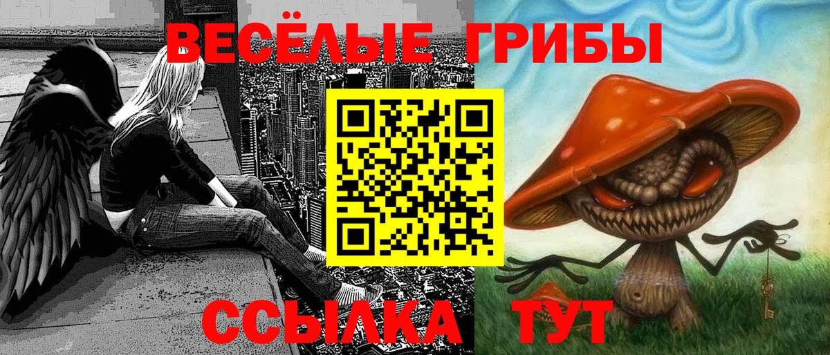 Батайск  Галлюциногенные грибы Psilocybe  Псилоцибиновые грибы Cubensis  купить наркотики цена  Вход с VPN 